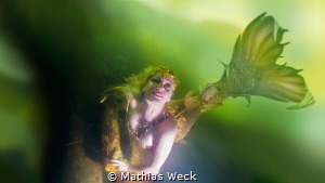 Mermaid Daniela Rodler in artificial lake "Natura Gart" i... by Mathias Weck 